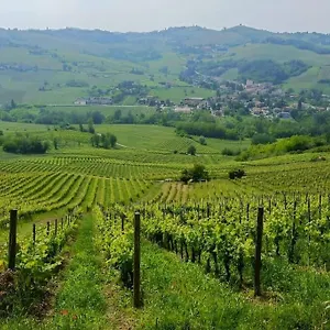 oltrepo-dimora-nei-vigneti-vicino-a-ics-maugeri.it-lombardy.com/